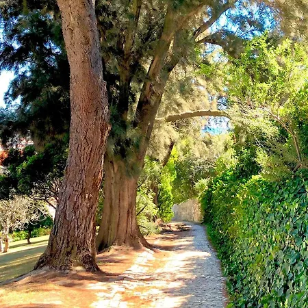 Aparthotel Jardim - Turisticos 3*