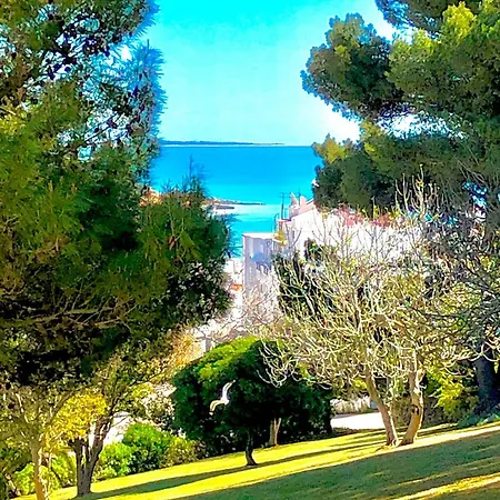 Jardim - Turisticos Aparthotel Albufeira