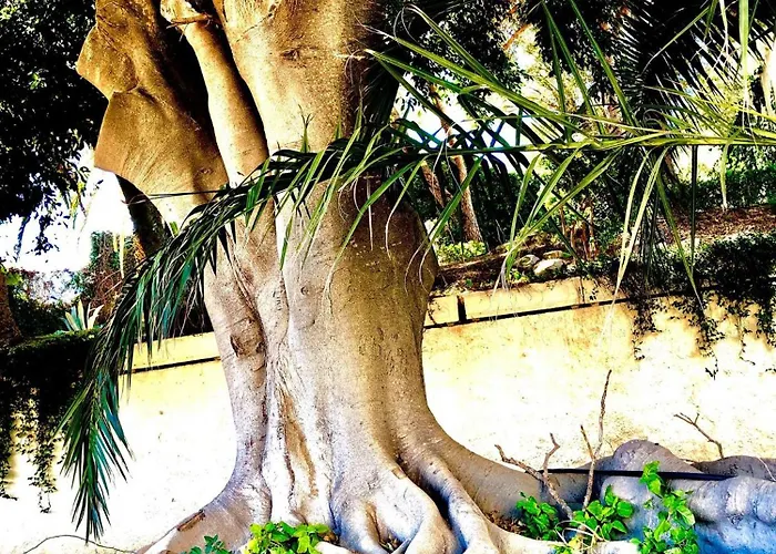 Jardim - Turisticos אלבופיירה